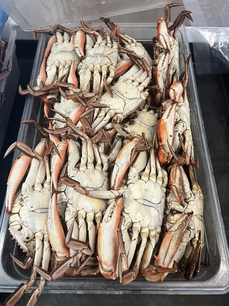 Crab